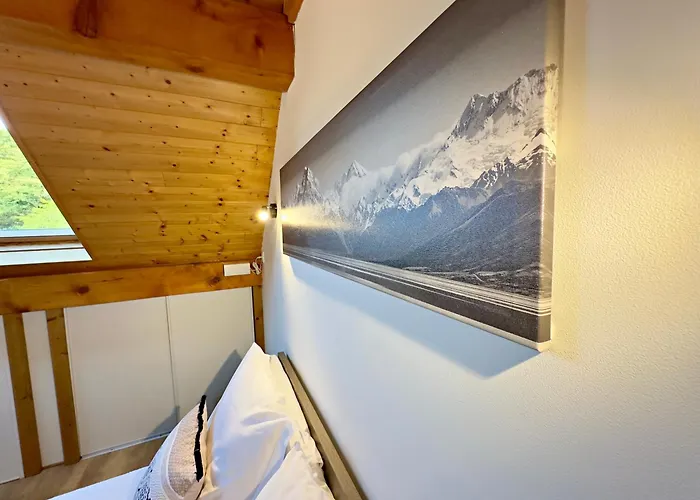 Chez Fred 201 - Parking Wifi - Clg Savoie